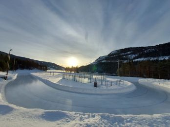 Årsmøte protokoll